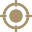target-icon